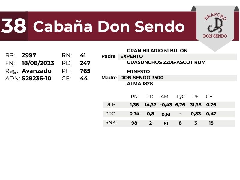 38 DON SENDO 2997