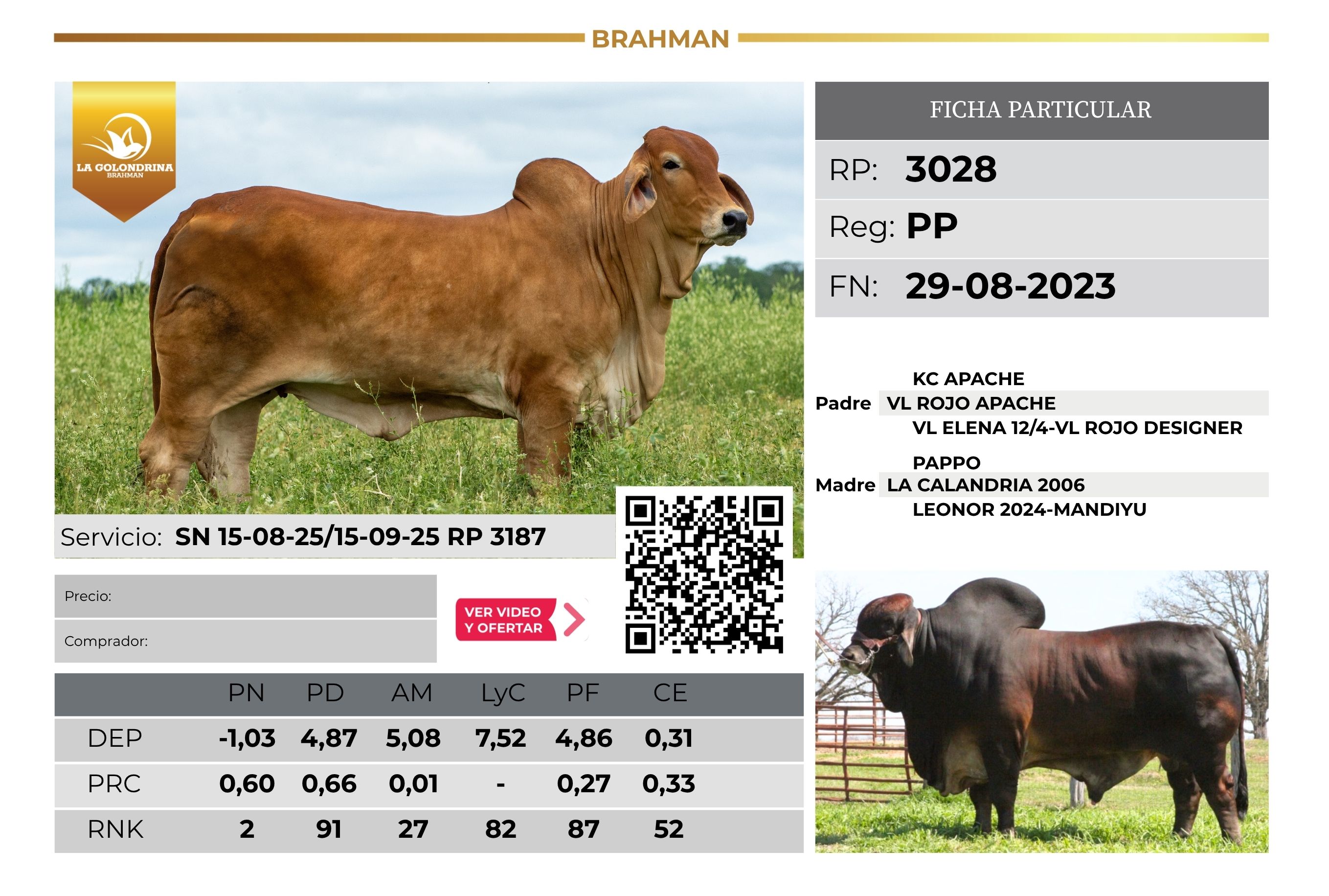 LA GOLONDRINA 3028 - TRES ISLETAS