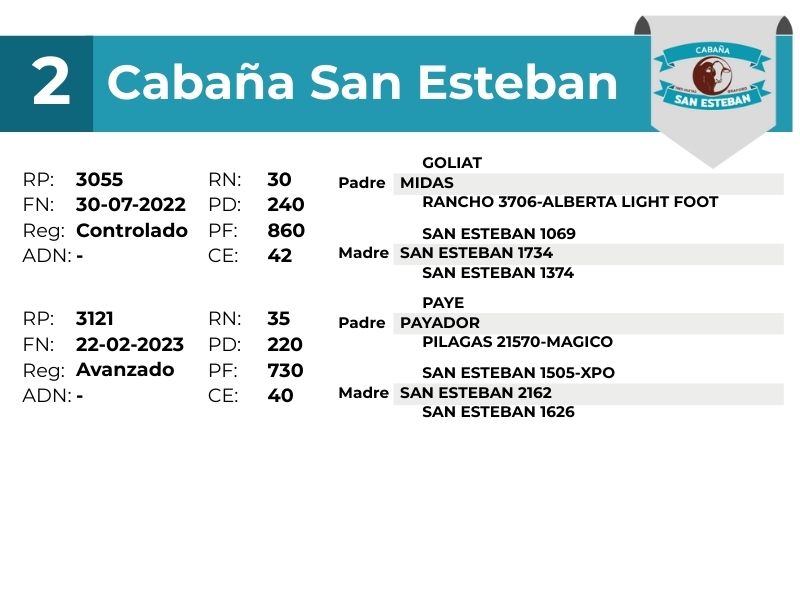 2 SAN ESTEBAN 3055 3121