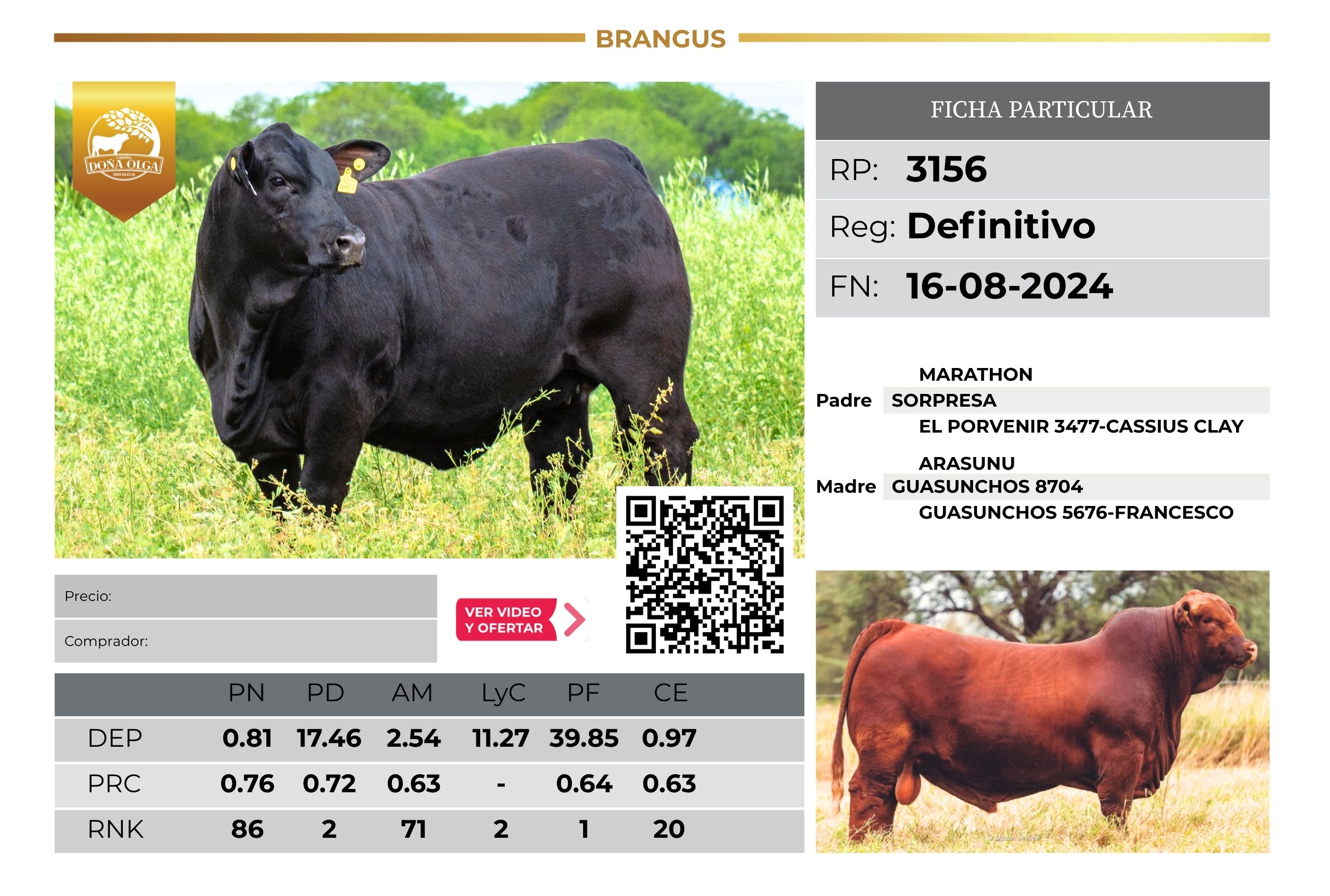 DOÑA OLGA 3156 - TRES ISLETAS