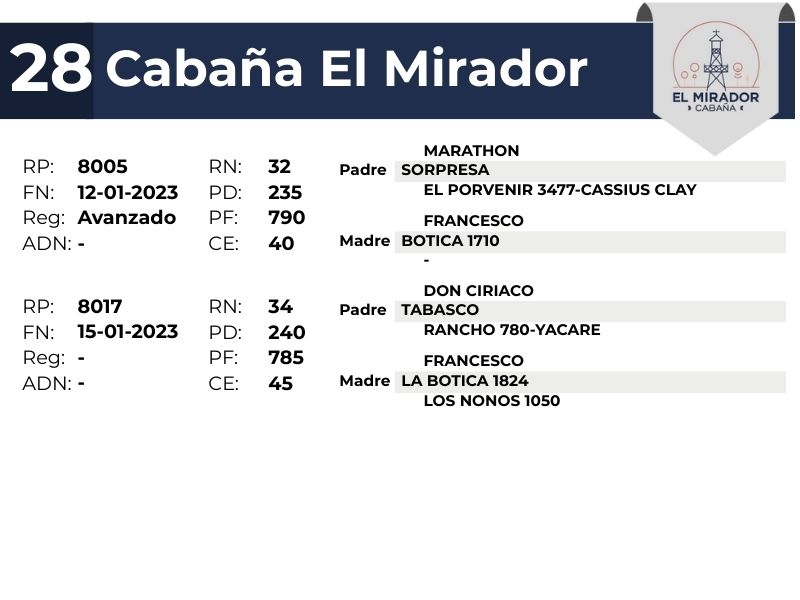 28 EL MIRADOR 8005 8017 - 9 SEPTIEMBRE FORMOSA