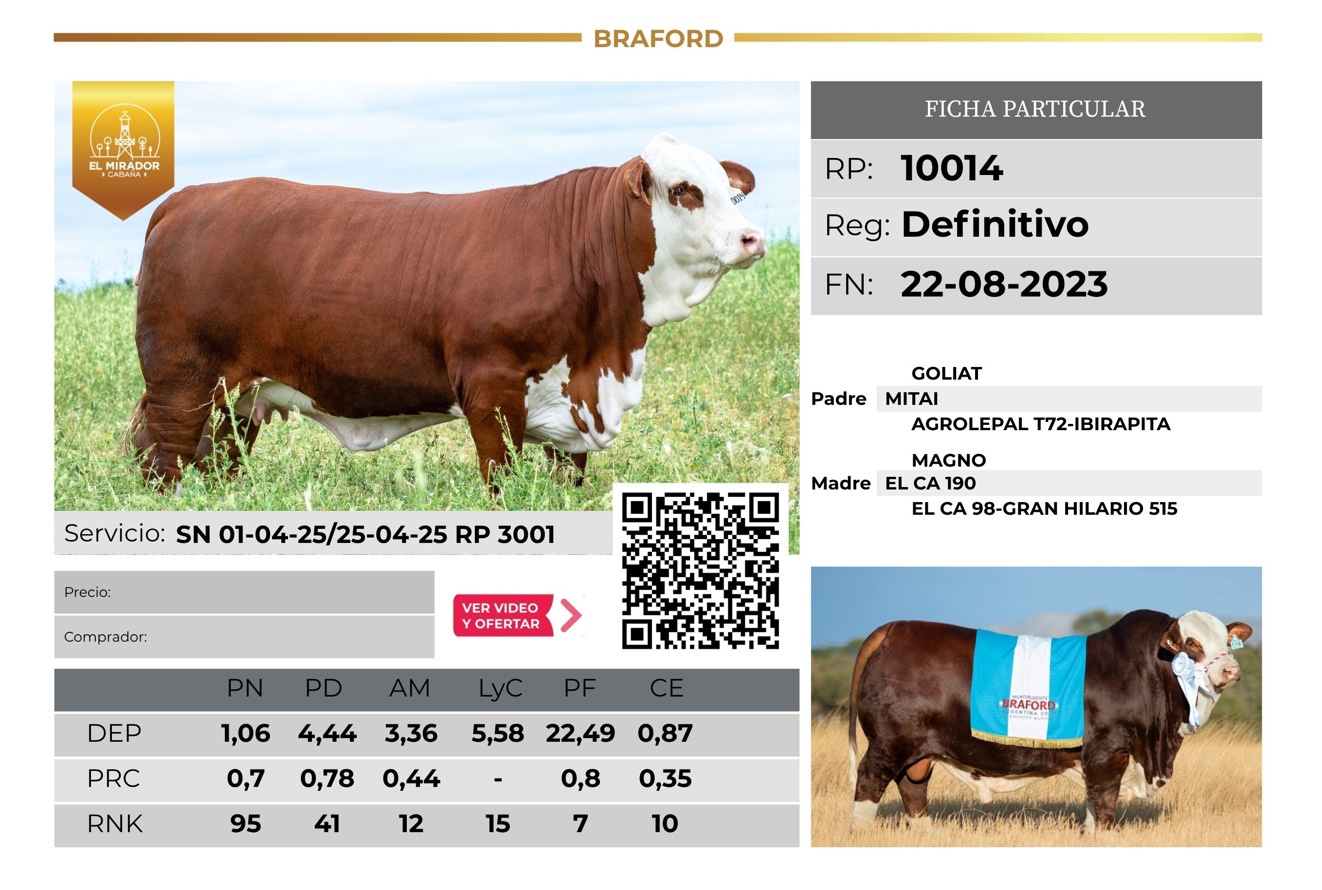 EL MIRADOR 10014 - TRES ISLETAS