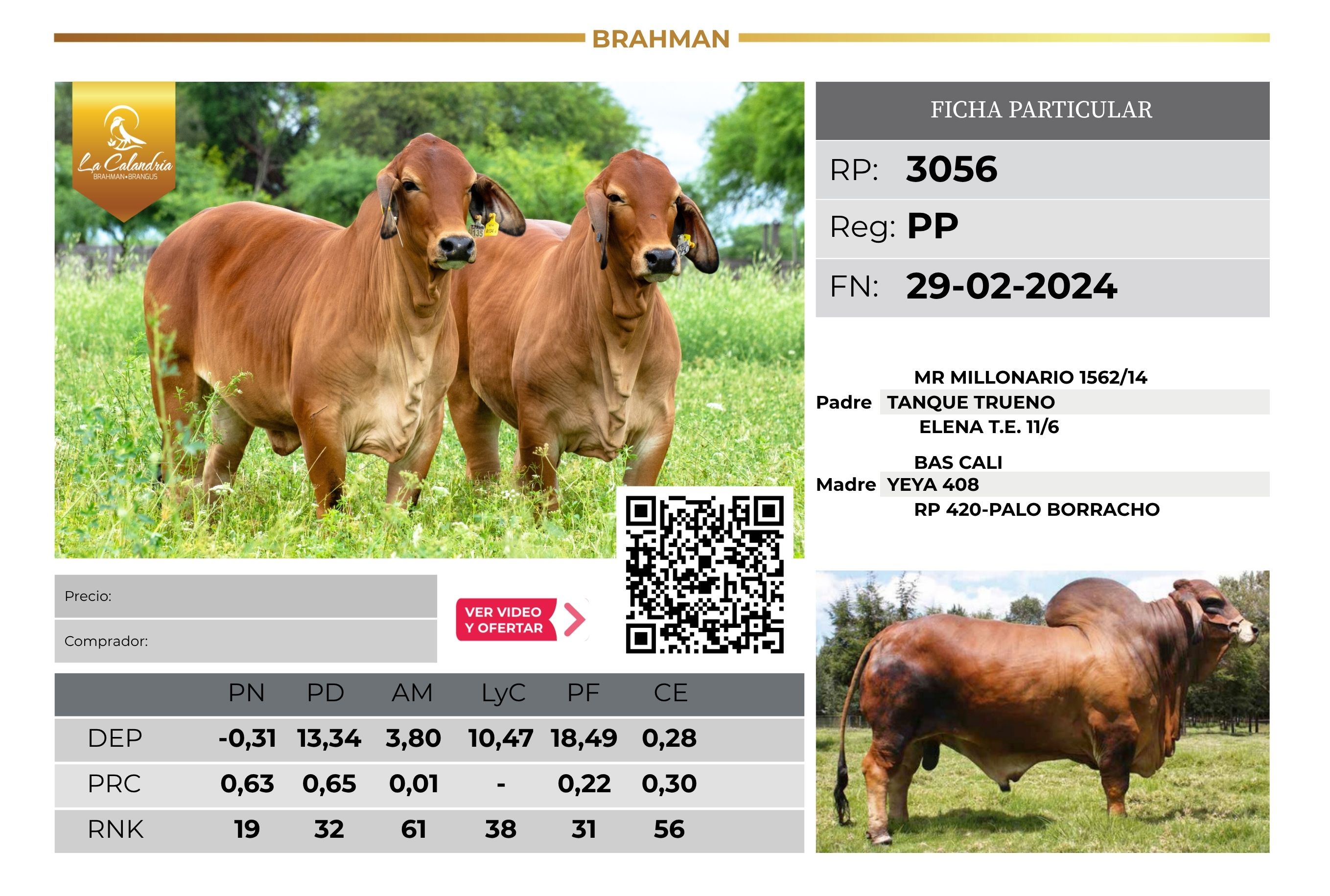 LA CALANDRIA 3056 - TRES ISLETAS