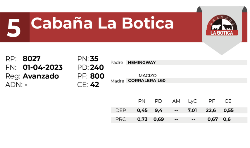 5 EL MIRADOR BRANGUS 8027 - 27 AGOSTO LAS BREÑAS