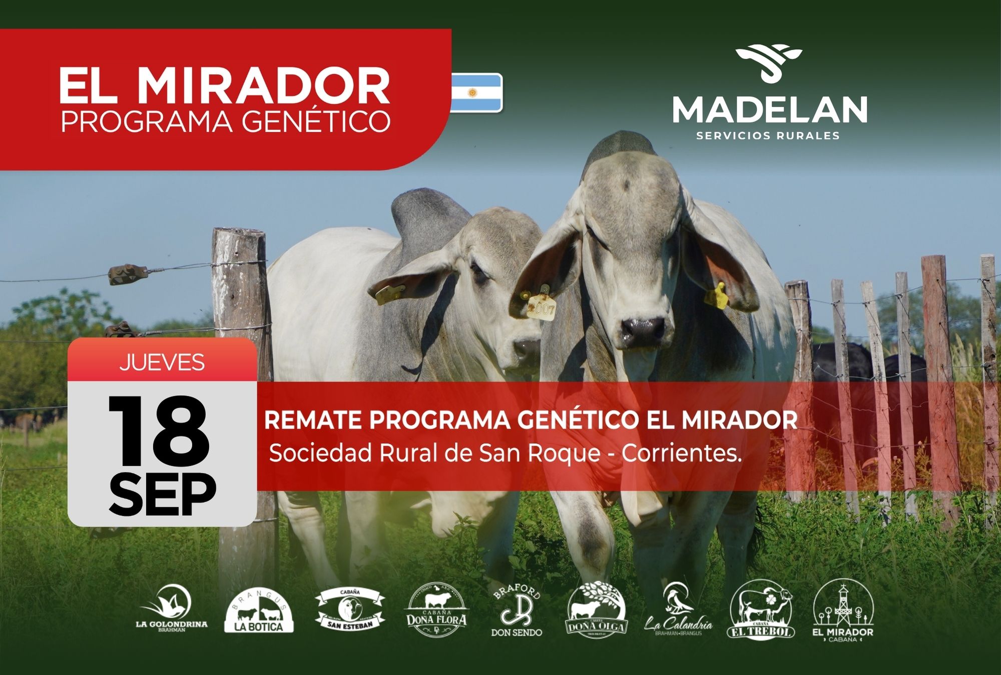 Genética El Mirador